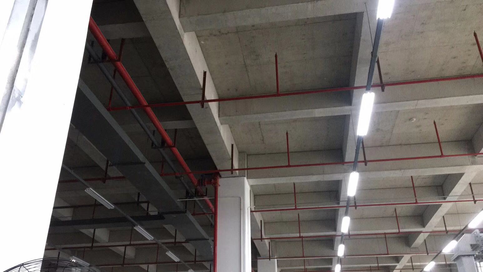 �����S������������